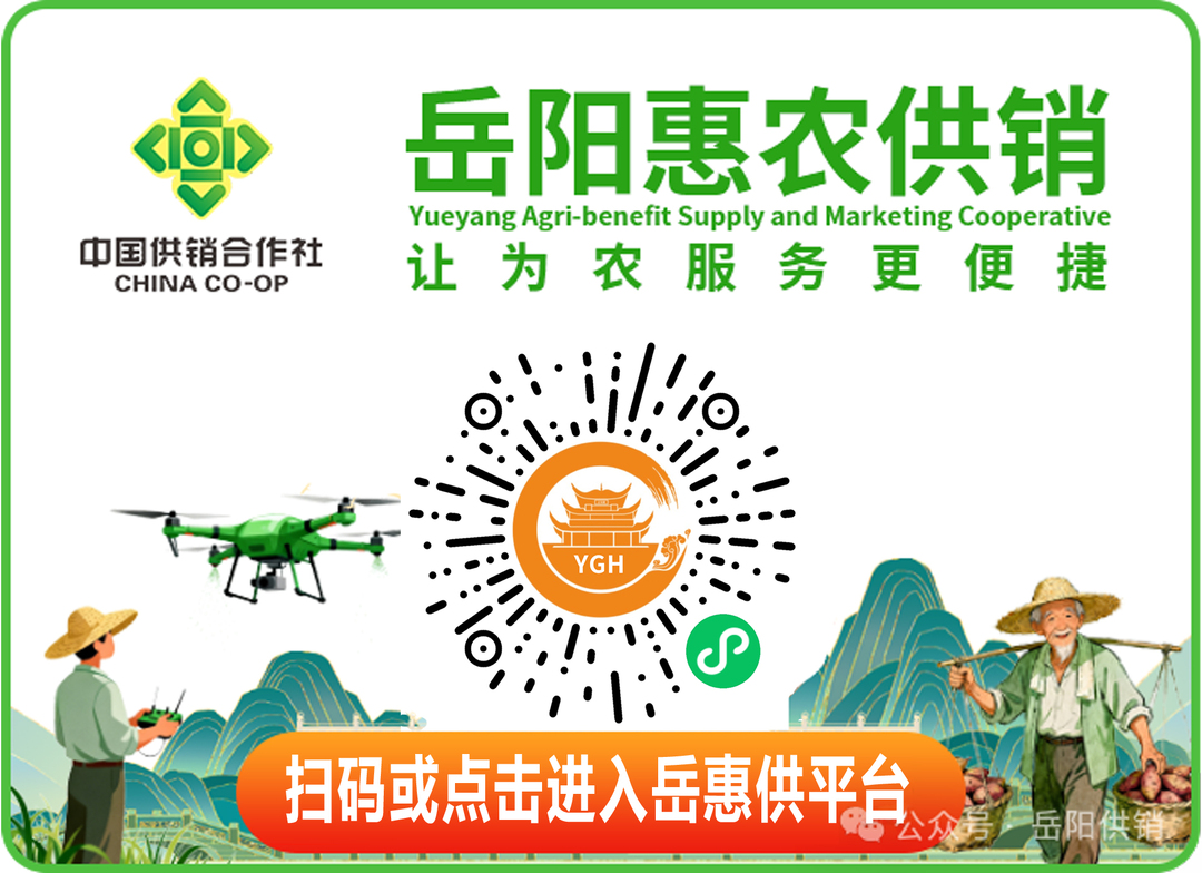 漫等融合剧本杀成“行走的游戏”澳门新葡京进入景区、商场与动